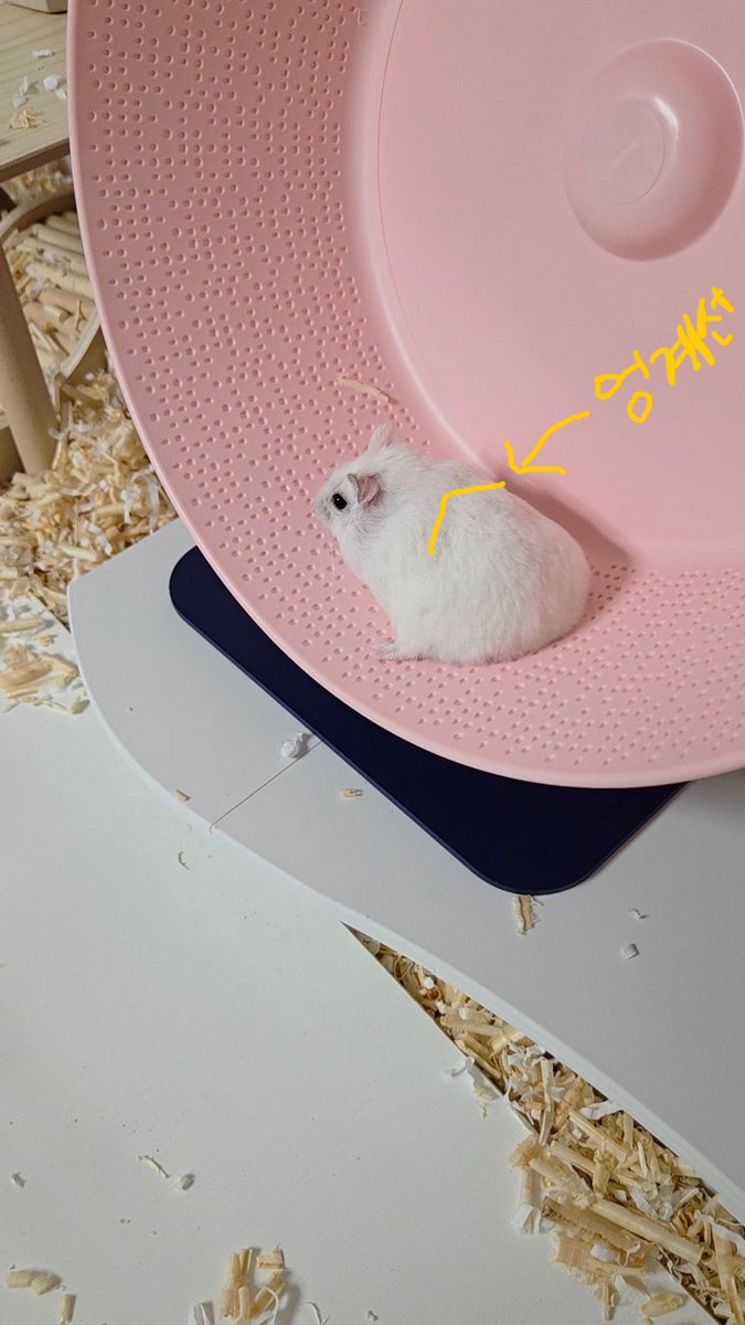 얌.. (@yamgummyam) on Twitter photo 