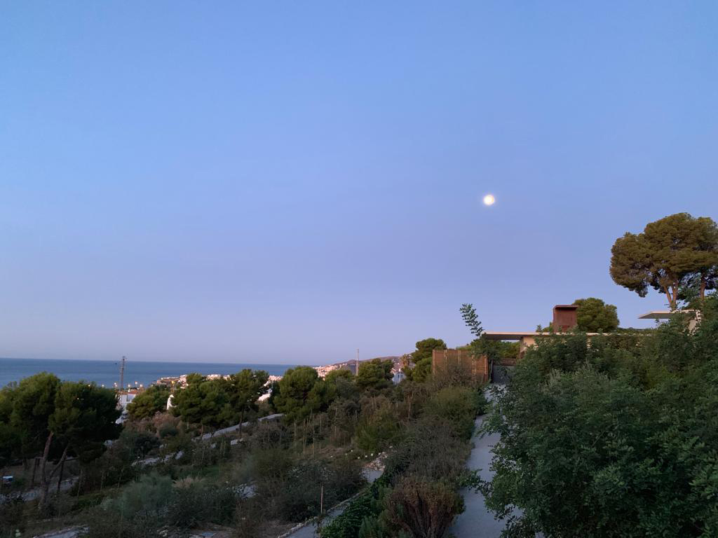 CuevadeNerja's tweet image. 🌍 Hoy es el #DíaMundialDelMedioAmbiente y en la #CuevaDeNerja nos sumamos al reto:
🚫🌊 ¡Un planeta sin contaminación por plásticos!
Desde 1972, esta fecha nos invita a vivir en armonía con la naturaleza. 🌱💚 ¿Qué haces tú para cuidar el planeta?
#SinPlásticos #Sostenibilidad…