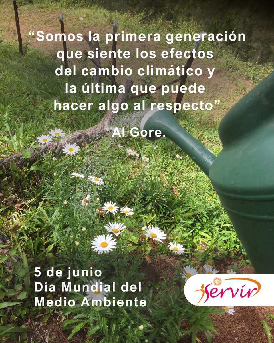 El voluntariado ambiental es una forma eficaz de participar en la conservación y el cuidado del medio ambiente. Cada uno de nosotros puede y debe involucrarse para que las nuevas generaciones encuentren un lugar bueno en el cual vivir.