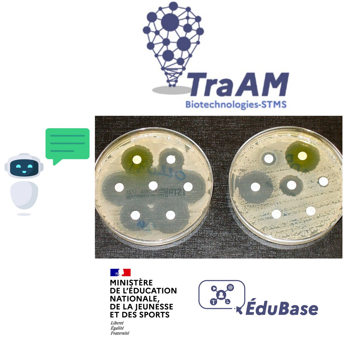 biotech_edu_num's tweet photo. [📌.... Ressources Biotechnologies &amp; STMS] : Création et utilisation d’un agent conversationnel pour l’aide à la lecture de l’ #antibiogramme 🧫 : scenarii #TraAM 2025  @acmontpellier pour les élèves de #STL #Biotechnologies et #BTS #Edubase
➡️ https://t.co/y4myN5MvLN https://t.co/eeHETvTVn8