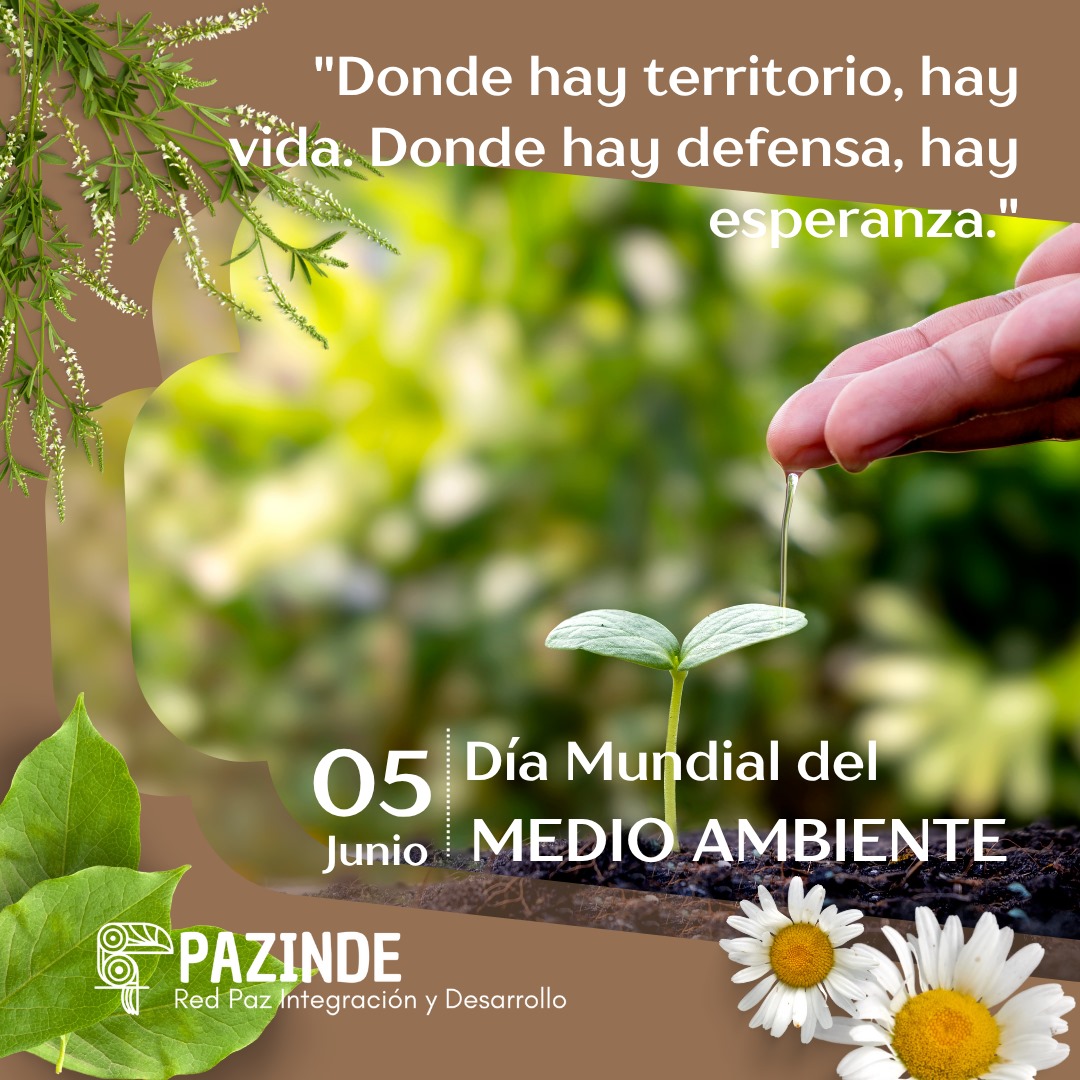 🌿 El medio ambiente no es solo un escenario: es la base de nuestra existencia.

💚 Sin medio ambiente sano, no hay vida posible.
#DíaDelMedioAmbiente #AmazoníaBoliviana #JusticiaAmbiental #Defensores #RedPazinde