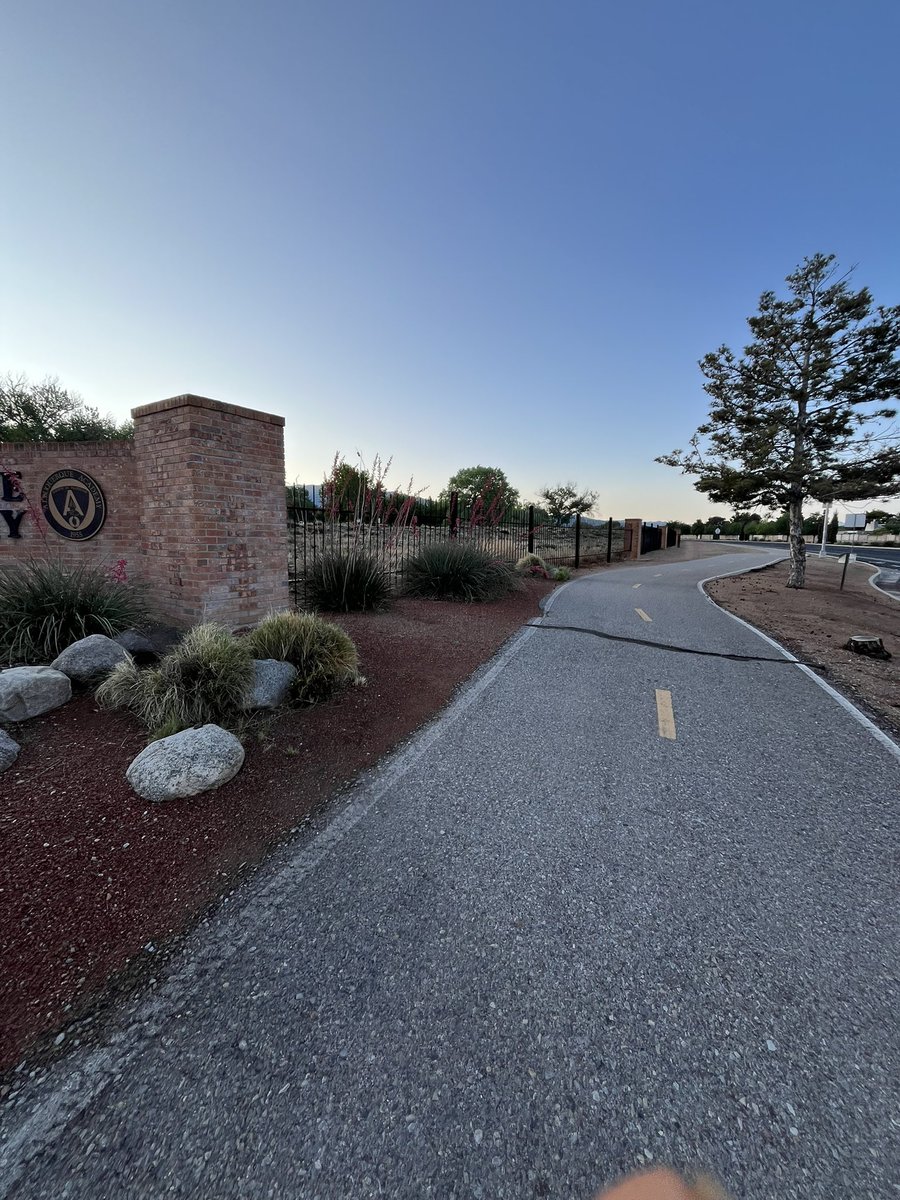 elayne brucker tweet media