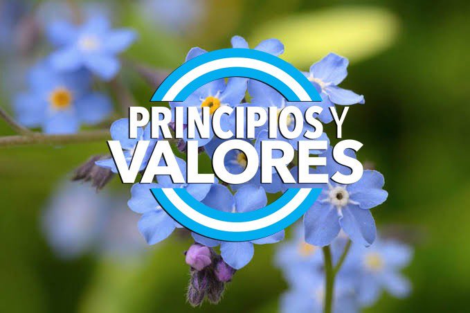 Guillermo Moreno (@gulllermomoreno) on Twitter photo 