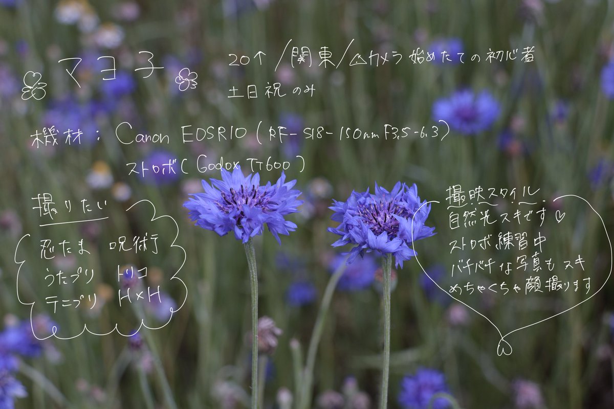 nmnmo00's tweet image. 🏷️失礼します。
コスプレしつつ📷🔰始めました。撮影行ってくださる方、撮らせてくださる方、仲良くしてくれる方と繋がりたいです🌷
※2、3枚目撮らせていただいたお写真、4枚目撮っていただいたお写真
#忍たま好きさんと繋がりたい
#忍たまレイヤーさんと繋がりたい
#コスプレイヤーと繋がりたい