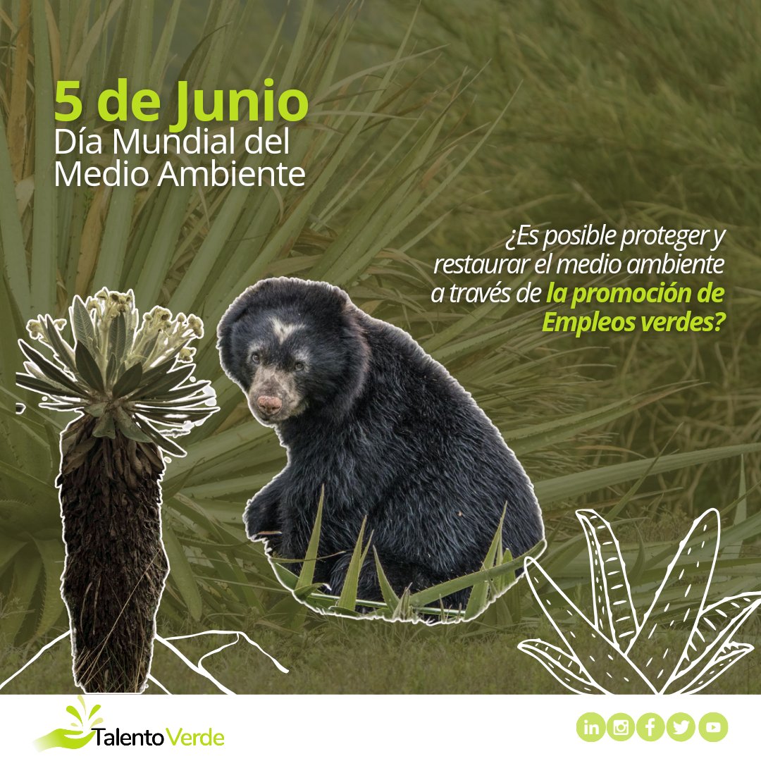 Talento Verde tweet media
