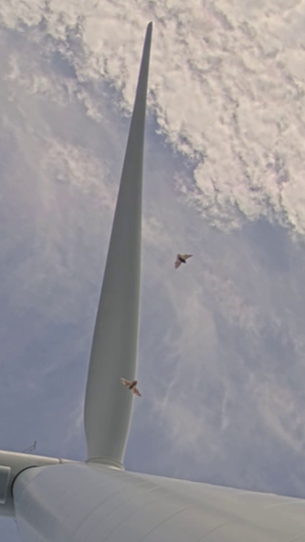 Normandeau Associates, Inc. tweet media