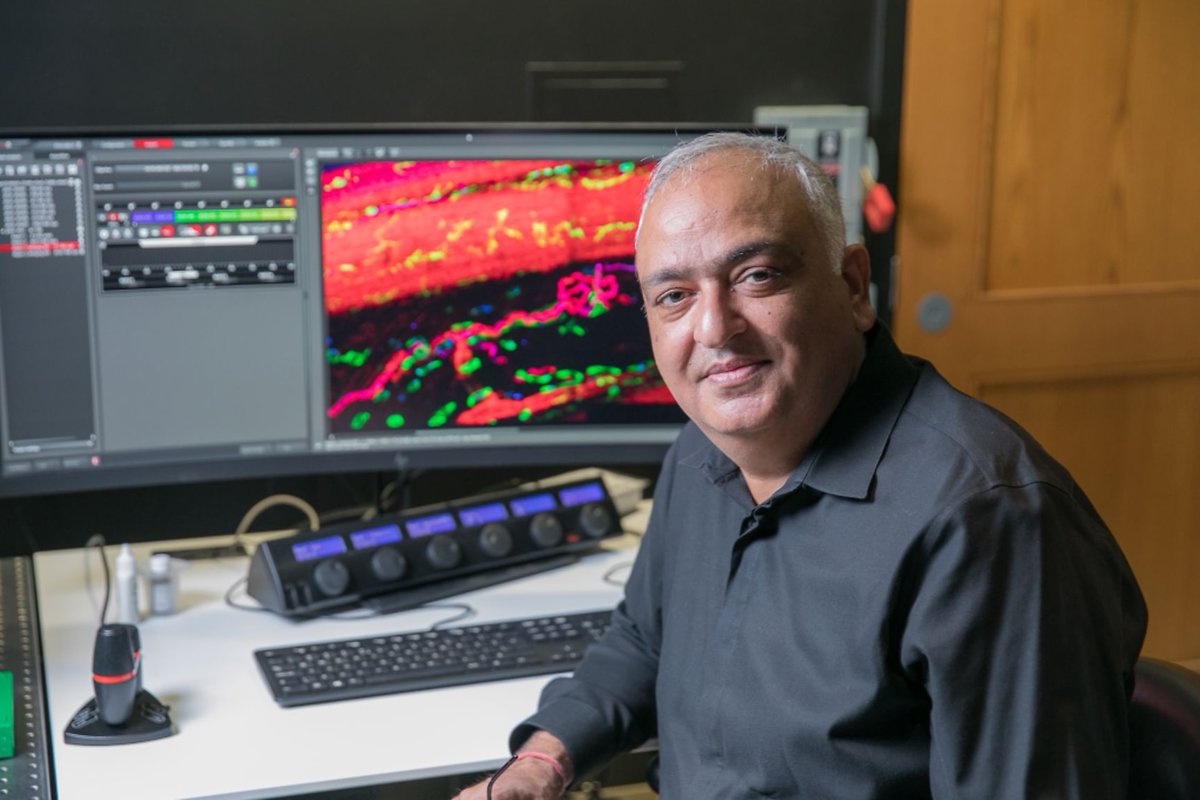 Yale School of Medicine (@yalemed) on Twitter photo A YSM team led by <a href="/VishwaDeepDixi1/">Vishwa Deep Dixit</a> finds that reducing consumption of the amino acid cysteine converts fat storage into fat burning, leading to weight loss: medicine.yale.edu/news-article/c… A YSM team led by <a href="/VishwaDeepDixi1/">Vishwa Deep Dixit</a> finds that reducing consumption of the amino acid cysteine converts fat storage into fat burning, leading to weight loss: medicine.yale.edu/news-article/c…