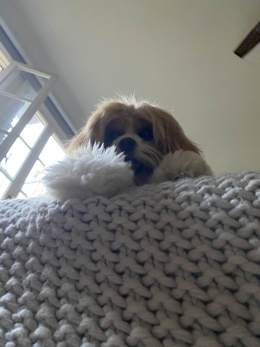 Good morning, Theta community. Peking University is now a Theta EdgeCloud AI customer, advancing research in distributed systems, AI, and blockchain, a huge boost for Theta's academia presence.