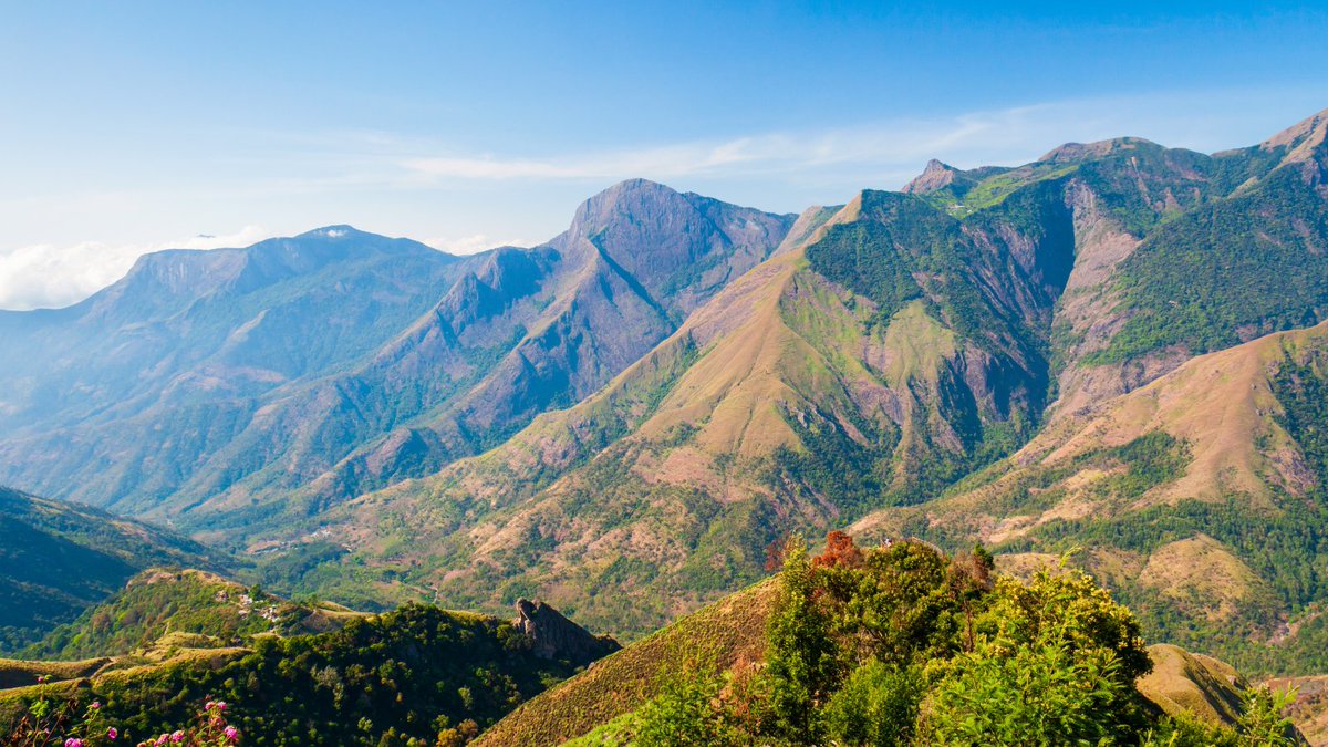 epw_in's tweet photo. #WorldEnvironmentDay | Reports of government committees on the conservation and global studies show that conservation models that vouched for exclusion of human habitants in ecologically sensitive areas failed to conserve biodiversity.
https://t.co/iHNbuqSx41 https://t.co/hFP5F6JHcC