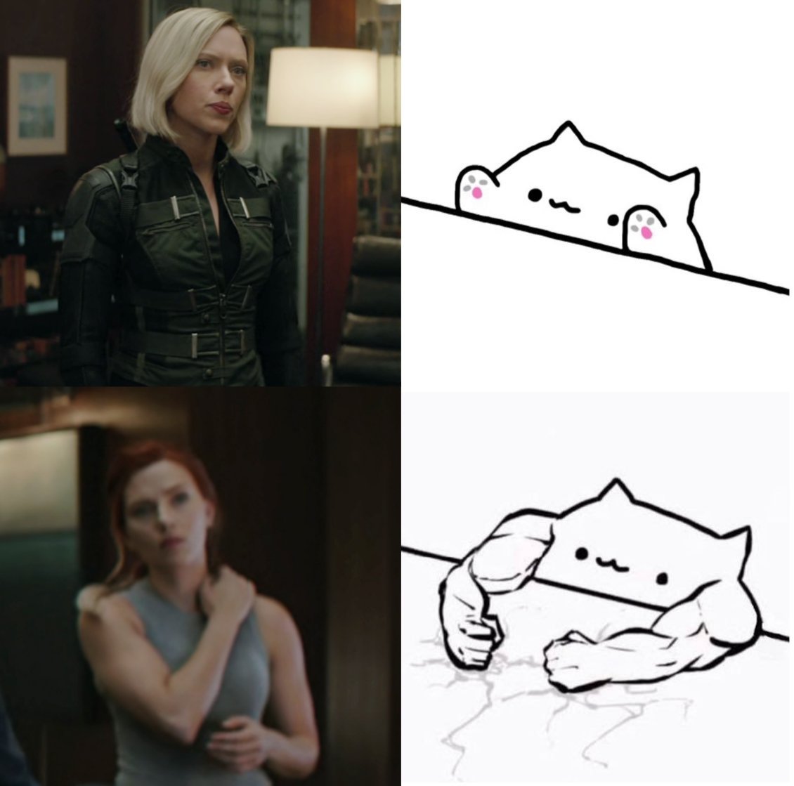 Vê 🏳️‍🌈 ᱬ⧗ she's not alone (@isthatmyjacket_) on Twitter photo 