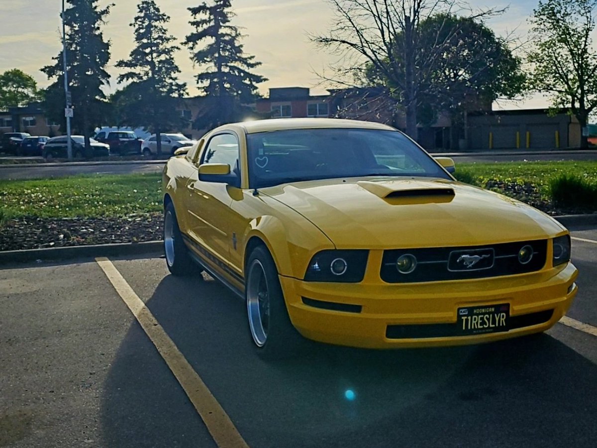 𑣲 Pup • hellhound vtuber •⩊• tweet media