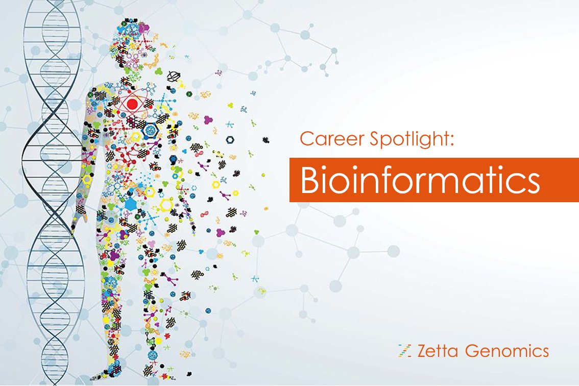 Careers in #Bioinformatics, ever wondered what that might look like? Read more from our team insights, from AI, to Agriculture: zettagenomics.com/careers-in-bio… #Career #Science #Tech