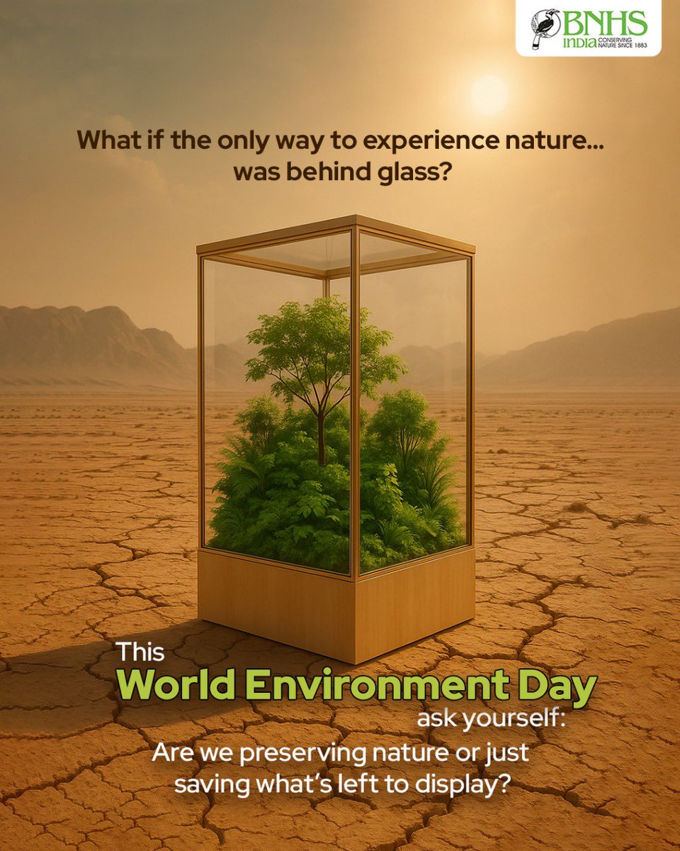 BNHSIndia's tweet photo. Once wild, now preserved.
Today onwards, letโs not wait till nature becomes a museum exhibit.
๐ข Protect. Preserve. Participate.
#BNHSIndia #PreserveNature #NatureNotInMuseums #ForFutureGenerations #WorldEnvironmentDay2025 https://t.co/FKt6MQ06dW