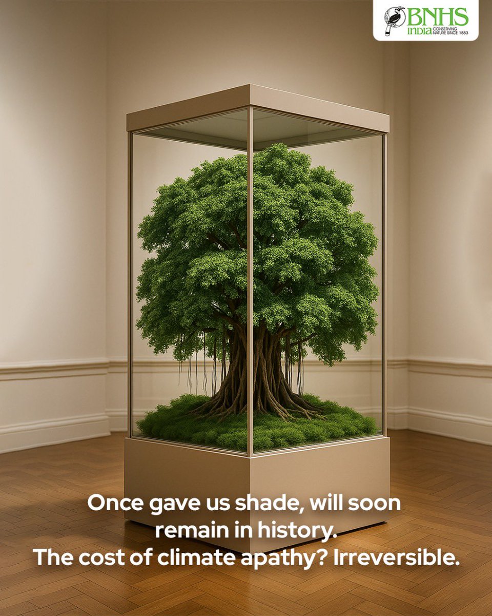 BNHSIndia's tweet photo. Once wild, now preserved.
Today onwards, letโs not wait till nature becomes a museum exhibit.
๐ข Protect. Preserve. Participate.
#BNHSIndia #PreserveNature #NatureNotInMuseums #ForFutureGenerations #WorldEnvironmentDay2025 https://t.co/FKt6MQ06dW
