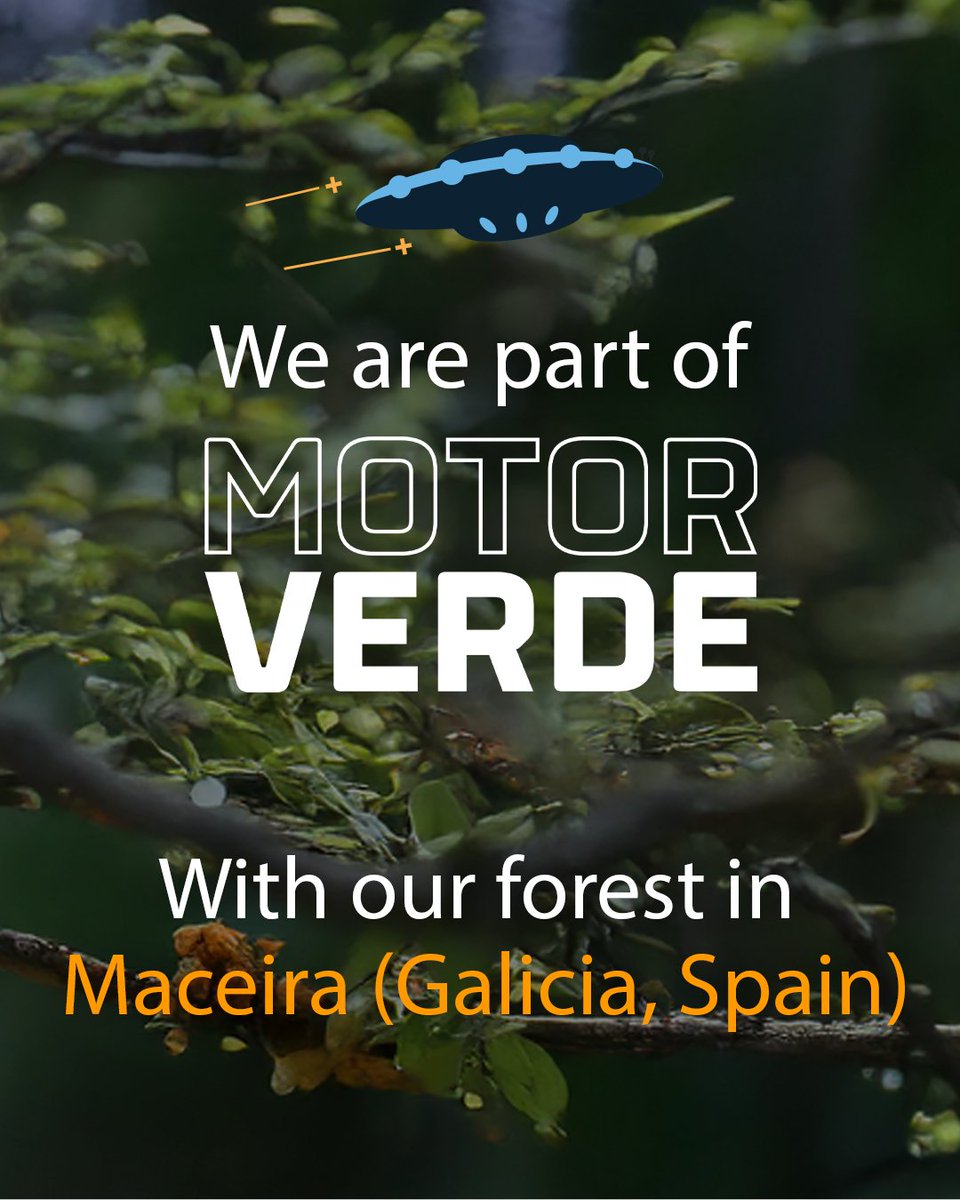 In celebration of #WorldEnvironmentDay, we are sharing our commitment to the planet through the #MotorVerde project.

🌱 With our support, the Maceira Forest in Galicia, Spain, has been reforested.