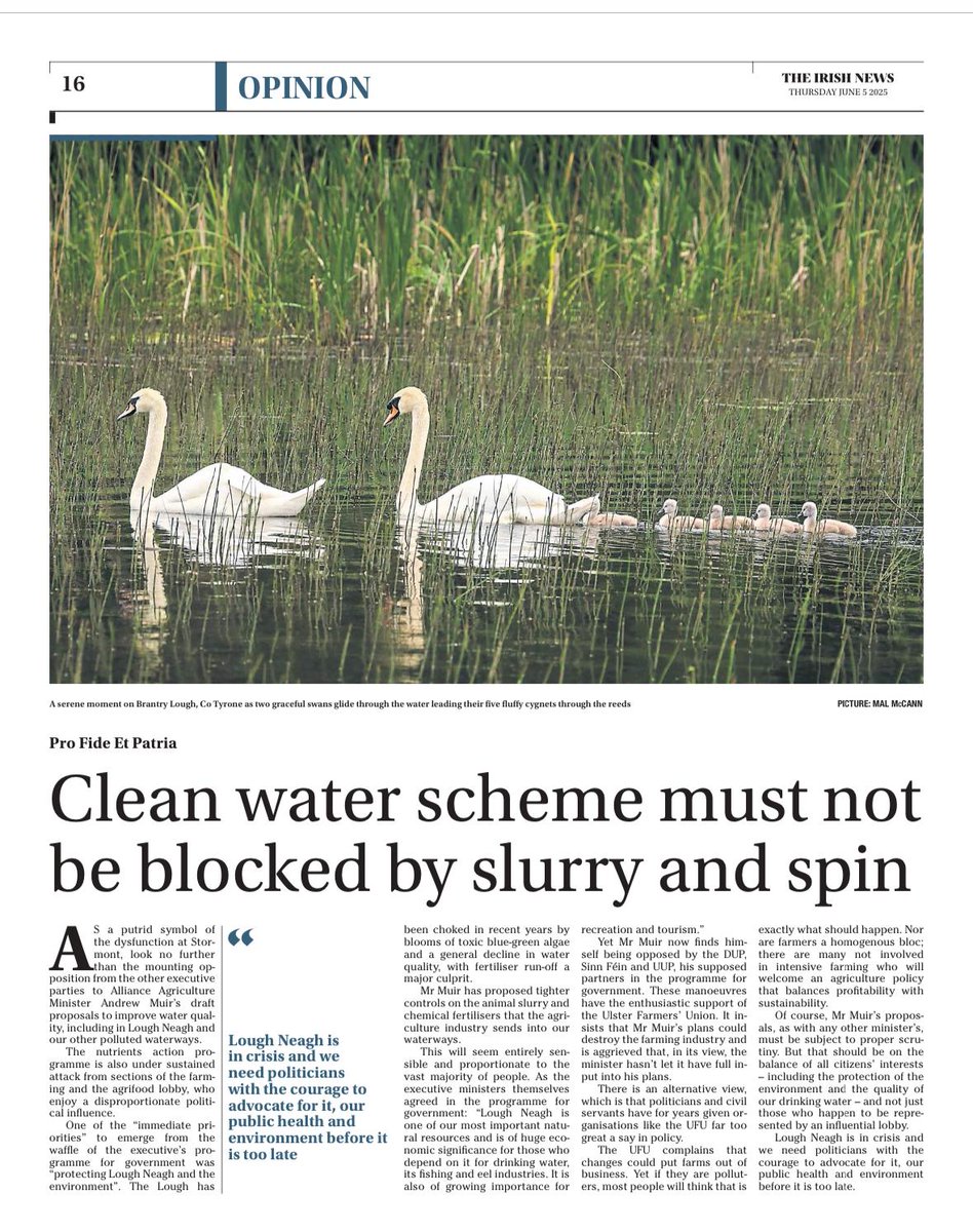 'Lough Neagh is in crisis and we need politicians with the courage to advocate for it, our public health and environment, before it's too late'.