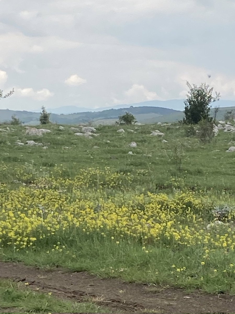 Bazen başını alıp gidebilecek kadar cesur; 
Bazen de kalıp,
Her şeye göz yumacak kadar Yürekli olmalı insan
Ne kadar Zor olsa da 
#ArefeGünü