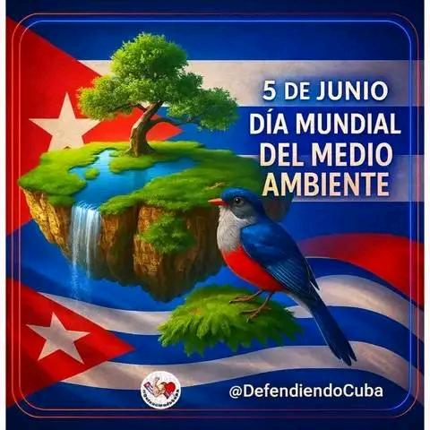 "Es necesario crear una cultura de la naturaleza en nuestro pueblo, llevándolo a ella, enseñándole a cuidarla y a disfrutarla, convirtiendo el movimiento de excursionistas en un poderoso ejército de protectores de la flora, la fauna y el medio natural en general".#Fidel