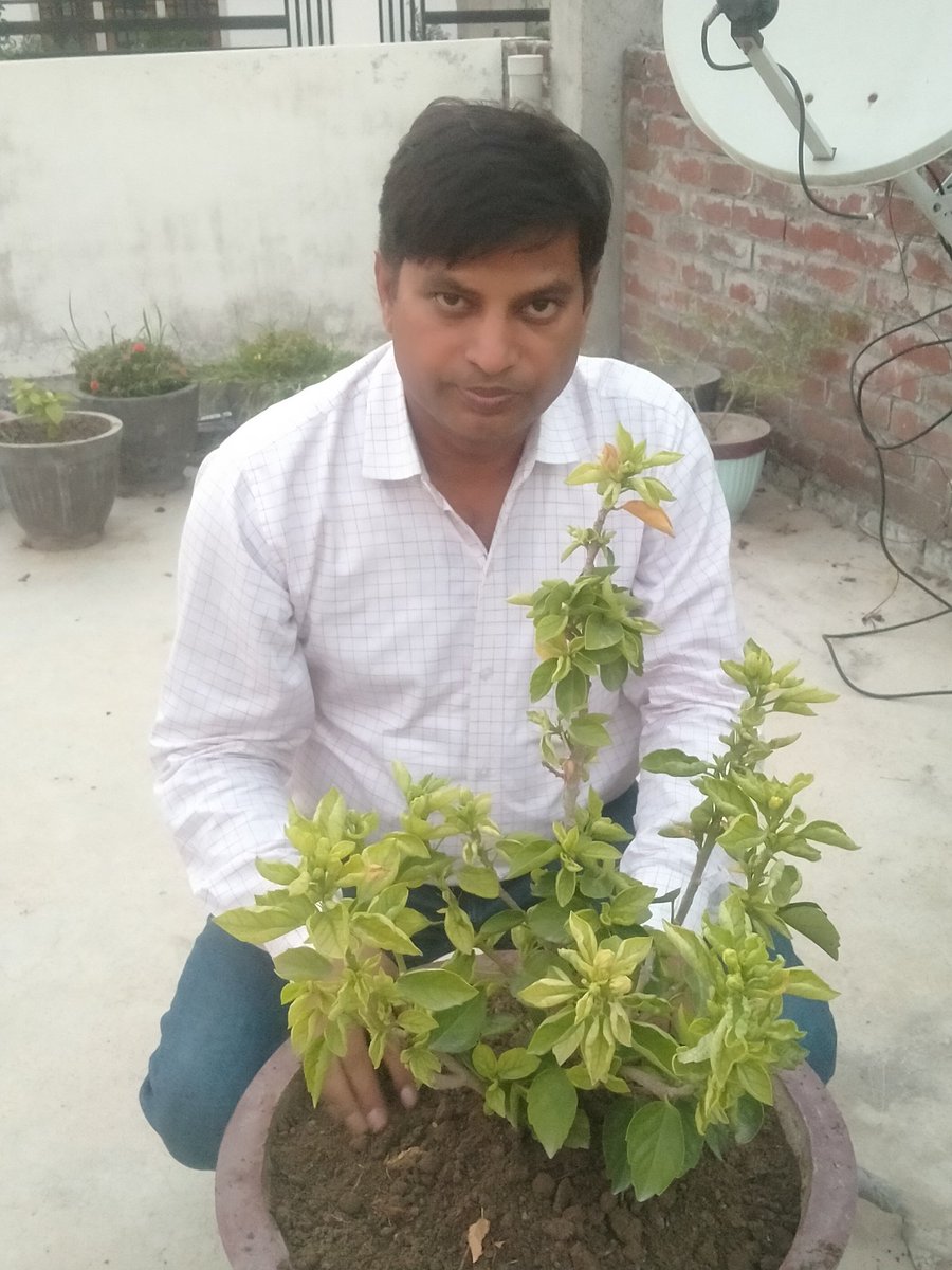 एक पौधा पुरानी पेंशन के नाम 
#OPS