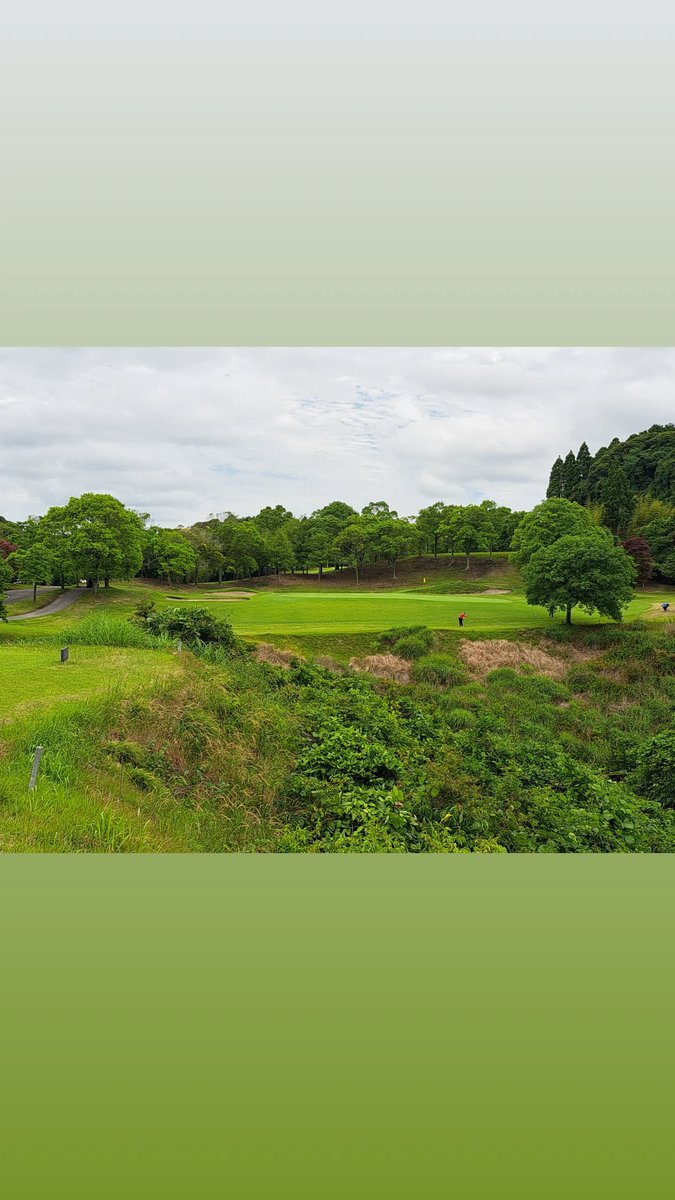 kmht4976's tweet photo. 房総カントリークラブ大山コース⛳
まぁドライバーのOB連発で暴走だ！ https://t.co/L7dAEwMAmS