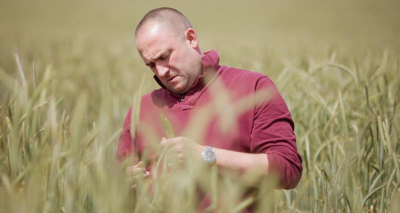 National Farmers' Union (@nfutweets) on Twitter photo NFU members | Following the recent trade agreement between the UK and the US, the British bioethanol market has been put at risk.
NFU <a href="/CropsBoard/">NFU Combinable Crops</a> Chair Jamie Burrows has shared how his board is working to retain a viable ethanol industry.
Read more👉ow.ly/b8Lx50W4M73 NFU members | Following the recent trade agreement between the UK and the US, the British bioethanol market has been put at risk.
NFU <a href="/CropsBoard/">NFU Combinable Crops</a> Chair Jamie Burrows has shared how his board is working to retain a viable ethanol industry.
Read more👉ow.ly/b8Lx50W4M73