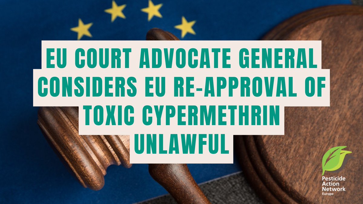 EuropePAN's tweet photo. ‼️Major step in EU's very first court case against #pesticide approval: Advocate General in EU's highest court agrees with part of our arguments in appeal against Toxic12 insecticide cypermethrin.
https://t.co/fQ43MBO8A8 https://t.co/Q4Nz6hN4MV