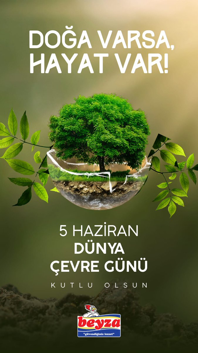 🌿 Doğa varsa, hayat var!
5 Haziran Dünya Çevre Günü kutlu olsun.

📞 0850 252 52 52
🌐 beyza.net