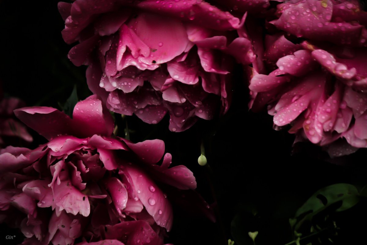 Yuma_Gin (@yuma_r_g) on Twitter photo 