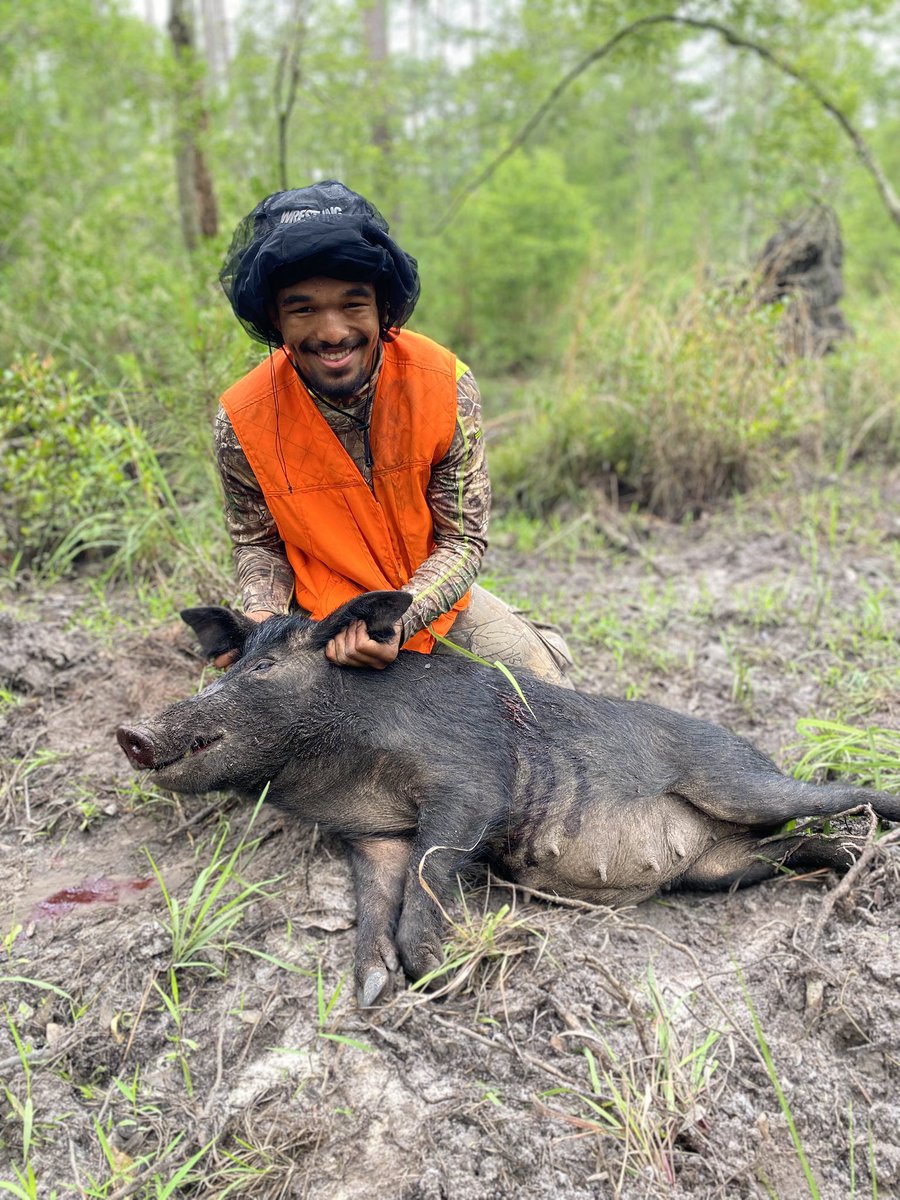 kailankeith's tweet photo. Amazing time in Georgia last week, was fortunate enough to harvest this huge wild hog and put meat on the table https://t.co/lUIlw2ABVq