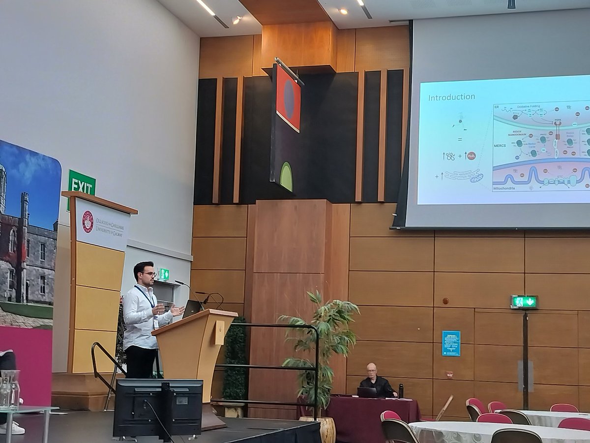 KasiaGoljanekWhysall (@kasiawhysall) on Twitter photo <a href="/jcasas97/">Jose Carlos Casas</a> giving a great presentation on #mitochondria #ER contact sites at <a href="/SFRR_Europe/">Europe-SFRR</a> conference in Galway <a href="/RedoxAGing/">Brian McDonagh</a> <a href="/jcasas97/">Jose Carlos Casas</a> giving a great presentation on #mitochondria #ER contact sites at <a href="/SFRR_Europe/">Europe-SFRR</a> conference in Galway <a href="/RedoxAGing/">Brian McDonagh</a>