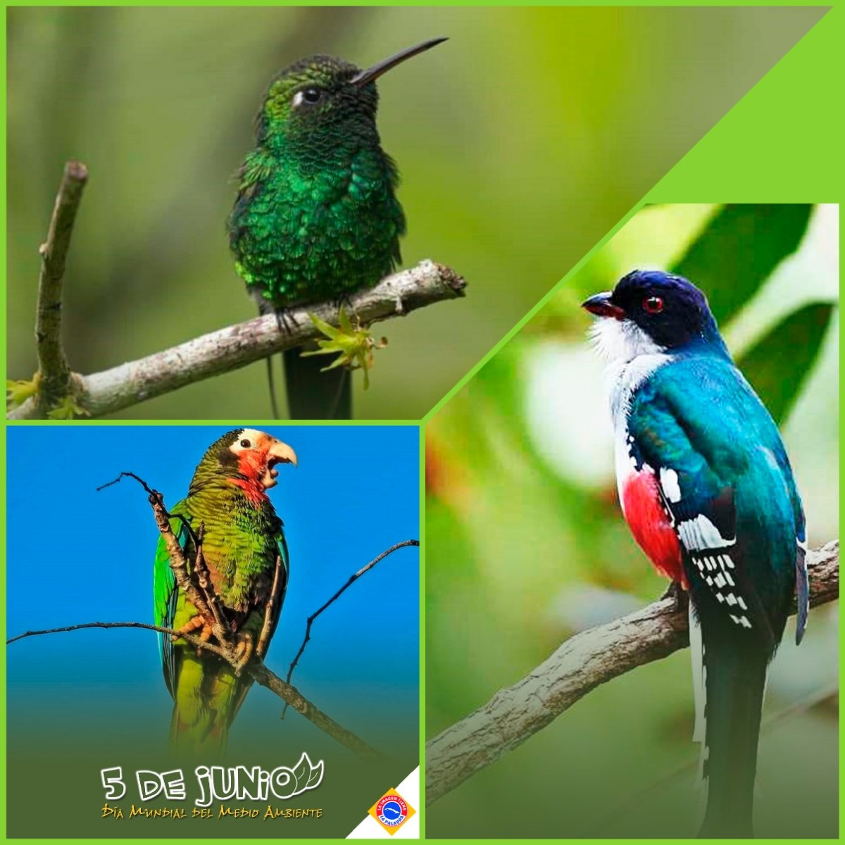 🌍💚 #BandecSanctiSpíritus se compromete con el futuro del planeta al financiar proyectos que cuidan nuestro entorno,  estamos trabajando juntos por un mundo más verde. ¡Cada acción cuenta!🌱🌱
#CuidadoDelMedioAmbiente
#BancaVerde
#SanctiSpíritusEnMarcha
#BandecNoSeDetiene