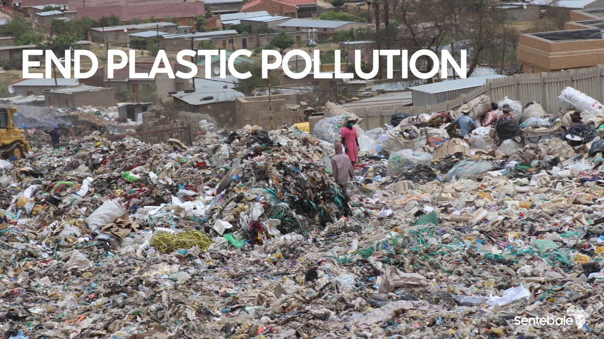 Today is World Environment Day with the theme End Plastic Pollution. 🌍

#Lesotho faces a significant waste management problem, particularly regarding plastic waste. The United Nations Development Programme found that 69% of waste in Lesotho is plastic, with a large portion