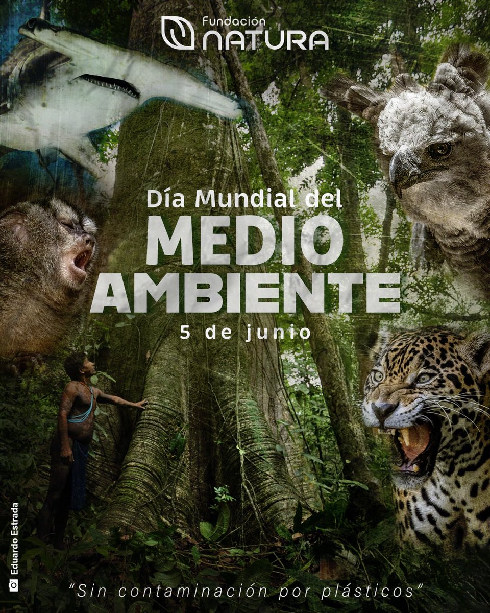 📢En el #DíaMundialDelAmbiente te reiteramos el llamado a proteger el #Ambiente y a emprender acciones para combatir la #ContaminaciónPorPlásticos. 
🐾 Protege la #Biodiversidad: respeta los hábitats naturales.
💧 Cuida las cuencas, ríos y océanos.
♻️ Rechaza los plásticos.