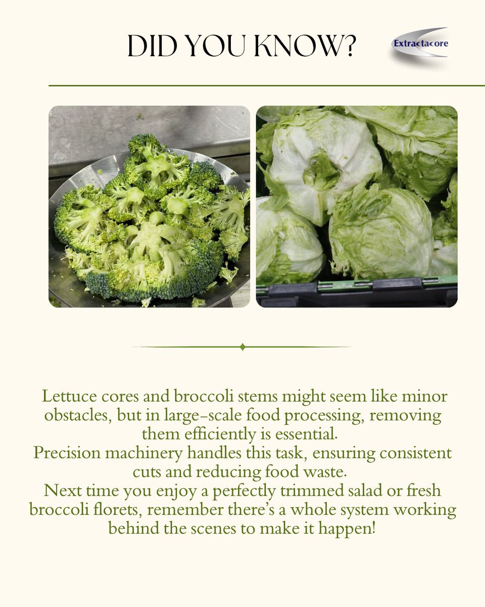 ExtractaCore's tweet image. From stem to perfection—precision machinery ensures every floret and lettuce head is ready for the freshest salads! 🥦🥬
#FoodProcessingEquipment #Veggies #FoodMachinery
