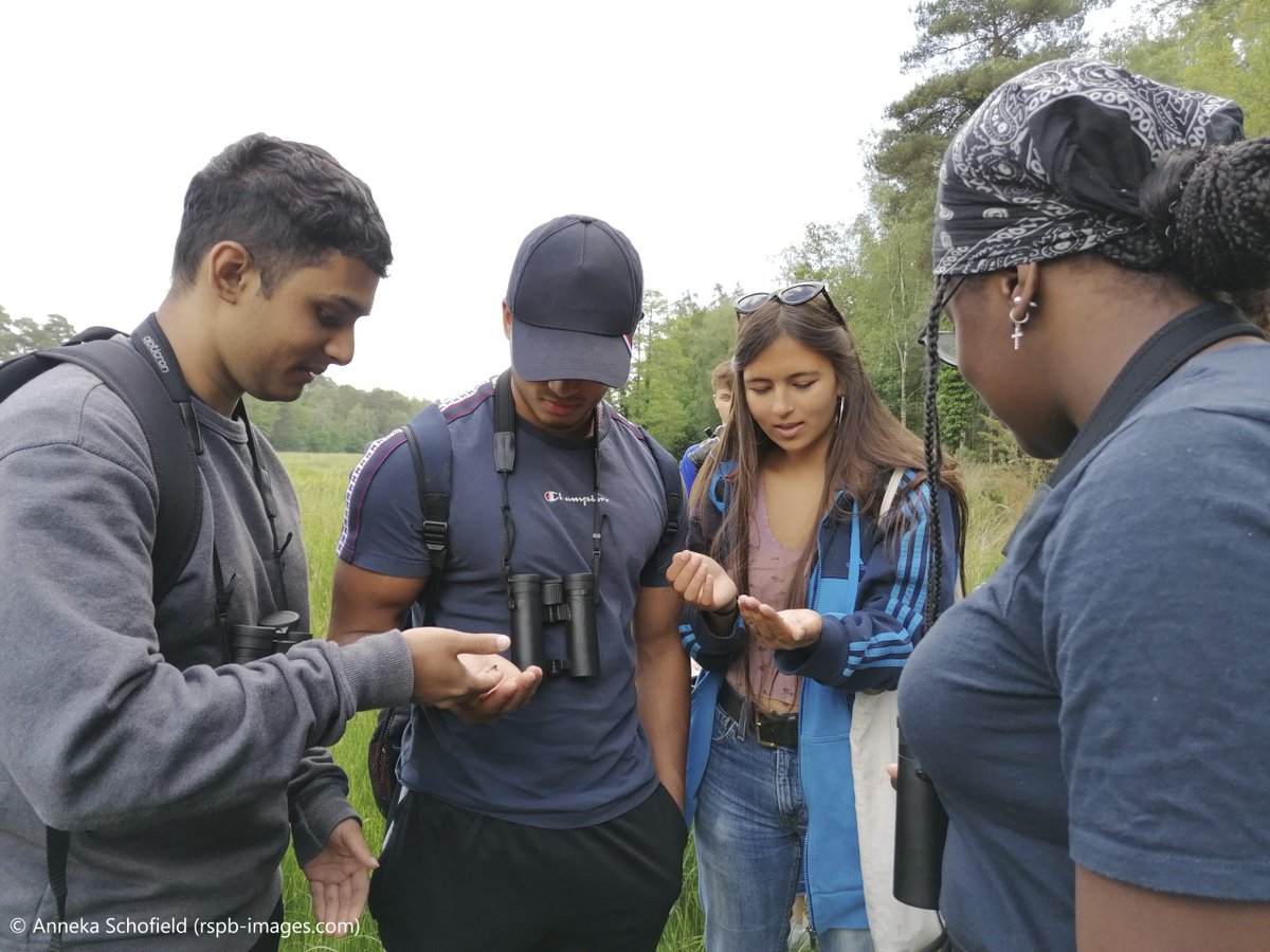 🌍 Happy #WorldEnvironmentDay! We believe great leadership includes caring for our planet. That’s why we developed the Environment Leaders Programme - to support young people to take action on sustainability while building leadership skills. 🌱Learn more: bit.ly/4kpDWf3