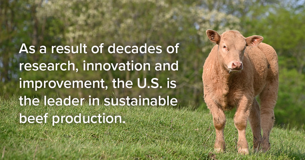 🌍 On #WorldEnvironmentDay, here’s a fact: The U.S. produces 17% of the world’s beef with only 6% of the world’s cattle.
That’s sustainable, efficient, and world-leading.
#SustainableBeef #EatBeef