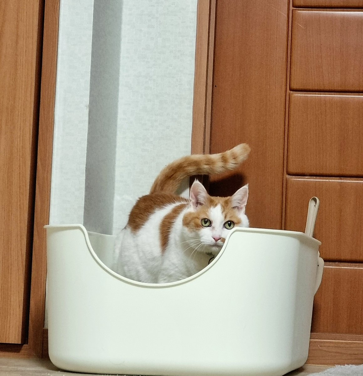 0127_maya's tweet photo. 몰래 찍다가 들킴 https://t.co/Pt4oELmUvl
