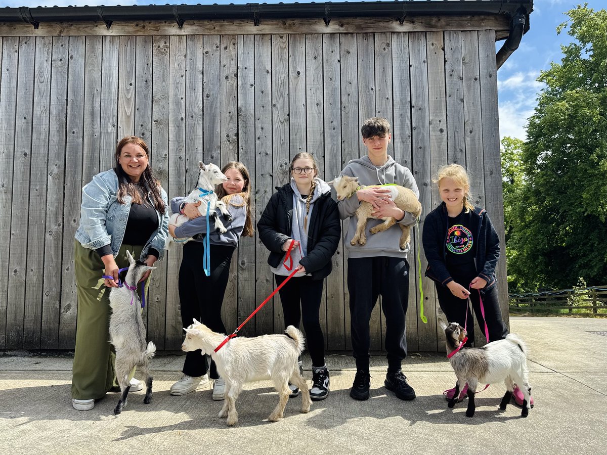 🐐 Our brand new goat walking experience is loads of fun, we've spent some time training this fantastic five how to walk on leads and they are loving spending some extra time with our visitors.
It's for sale as a vip experience now on our website.