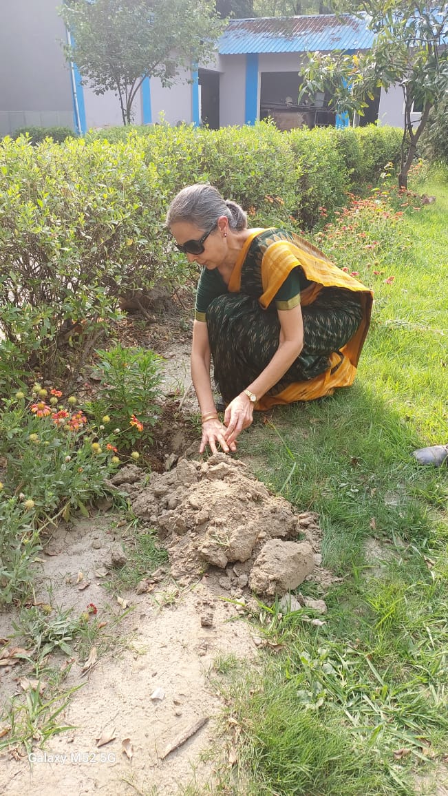 icmr_nicpr's tweet photo. "On the occasion of #WorldEnvironmentDay, staff members at #NICPR came together to plant over 50 different varieties of plants across the campus — adding vibrant greenery and further enhancing the beauty of our sprawling grounds."
@drshalini_icmr
@ICMRDELHI
@MoHFW_INDIA https://t.co/3KBdA6wfbn