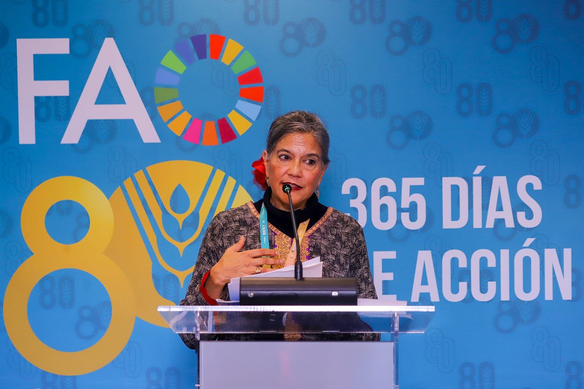 FAO Chile (@faochile) on Twitter photo "La <a href="/FAO/">Food and Agriculture Organization</a> se ha consolidado como un socio estratégico para Chile con presencia en todo el territorio. A través de alianzas, proyectos y acciones técnicas, hemos contribuido a transformar los sistemas agroalimentarios de forma inclusiva, sostenible y resiliente". <a href="/EveCrowleyFAO/">Eve Crowley</a> "La <a href="/FAO/">Food and Agriculture Organization</a> se ha consolidado como un socio estratégico para Chile con presencia en todo el territorio. A través de alianzas, proyectos y acciones técnicas, hemos contribuido a transformar los sistemas agroalimentarios de forma inclusiva, sostenible y resiliente". <a href="/EveCrowleyFAO/">Eve Crowley</a>