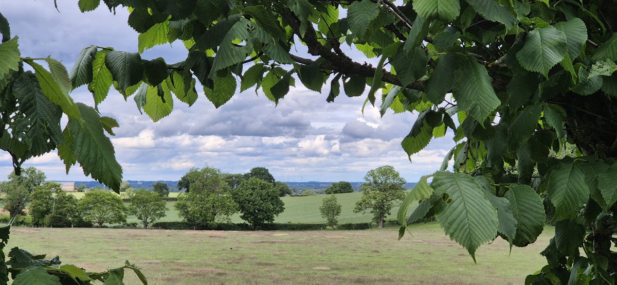 Evening miles running views 👟