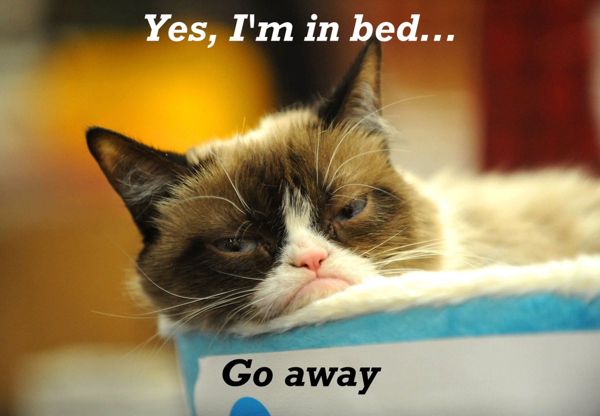 FlissZak (is editing with a vengeance) (@flisszak) on Twitter photo Off to bed.  Hope you had a great day, folks.  Now, night, night.
#WritingCommunity #poetrycommunity #readingcommnunity #bookworms #goodnight #GoodNightX #GrumpyCat #Cats #catlovers Off to bed.  Hope you had a great day, folks.  Now, night, night.
#WritingCommunity #poetrycommunity #readingcommnunity #bookworms #goodnight #GoodNightX #GrumpyCat #Cats #catlovers