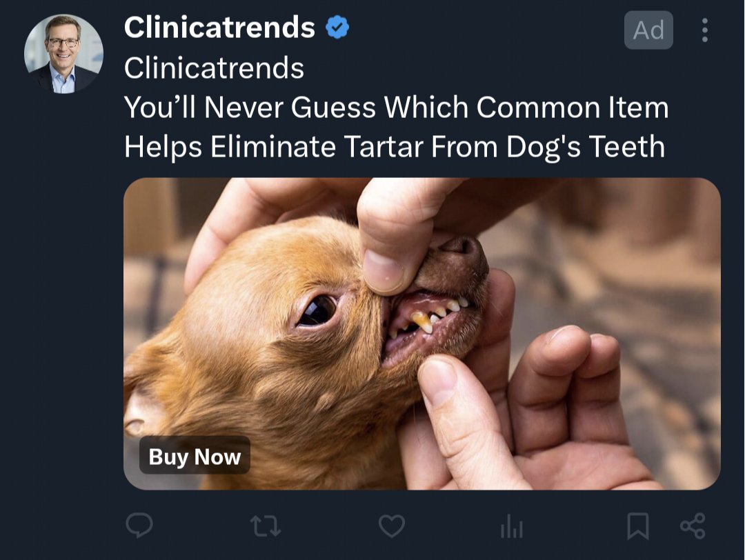 Jack Curran 🇺🇲🇺🇦 tweet media