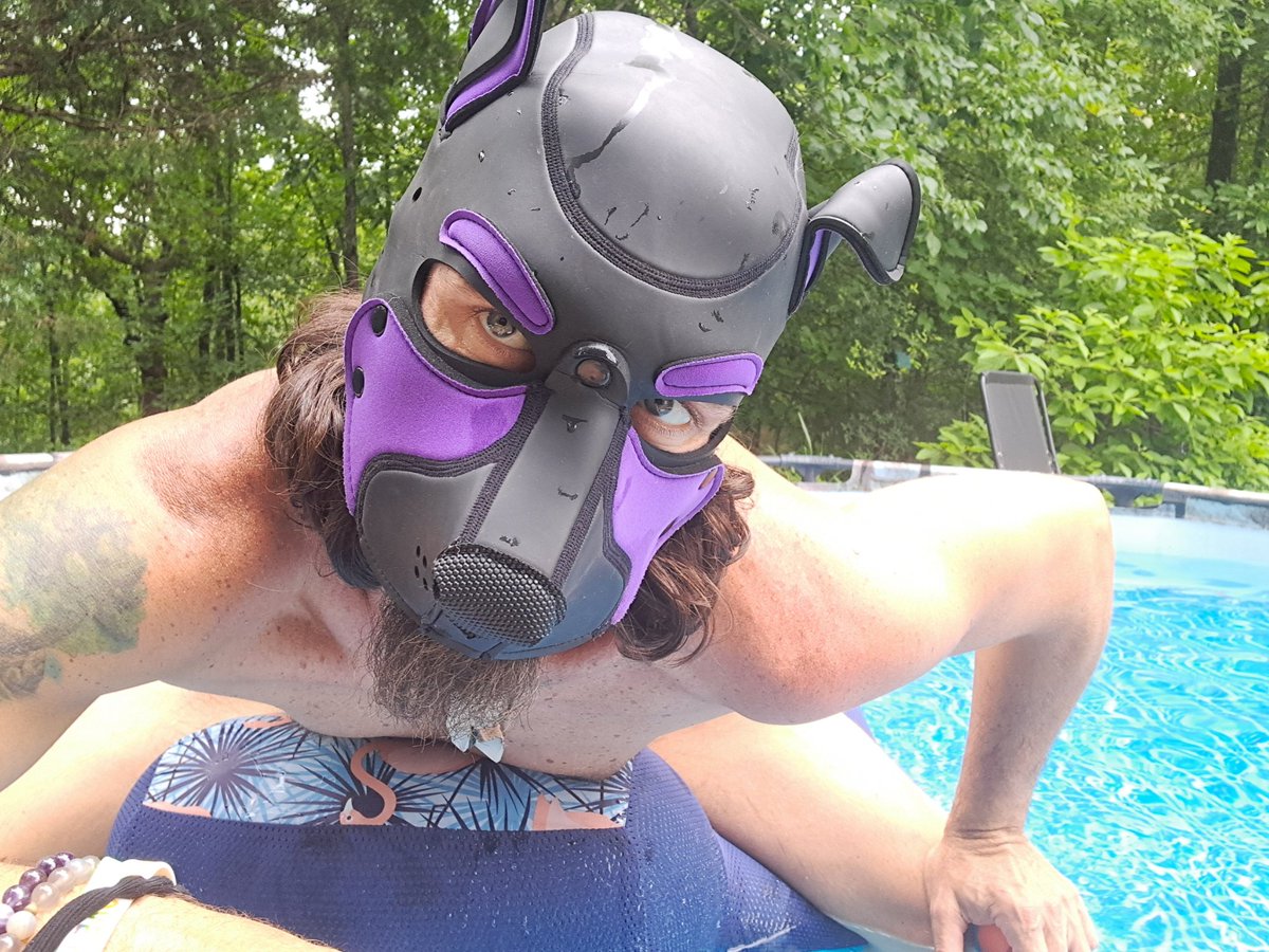 Spirit_Pupperz's tweet photo. Aroooo!  Pool cool off hour!

Aruff! https://t.co/KYzgUbpo7S