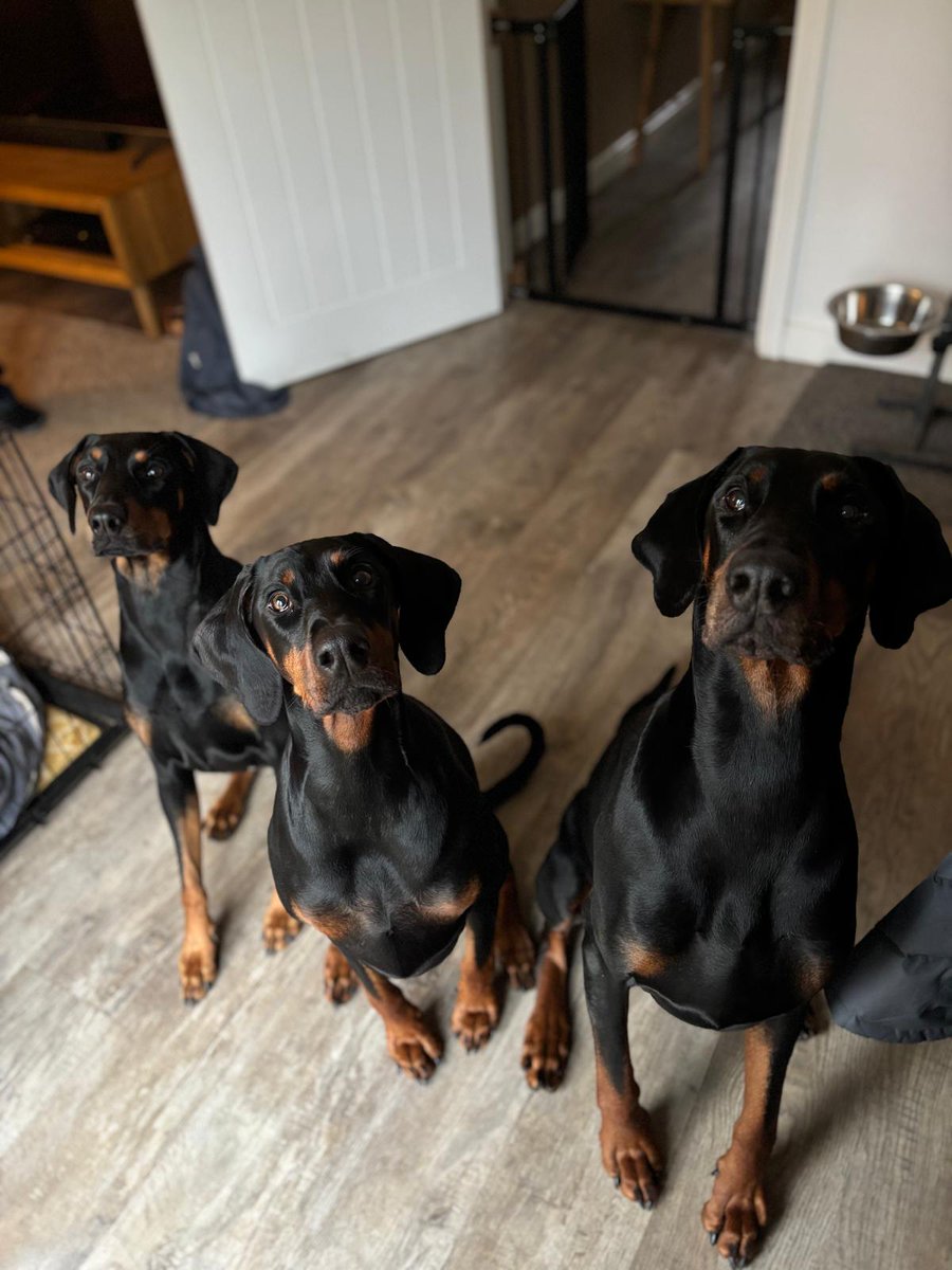 Stuart McLean tweet media