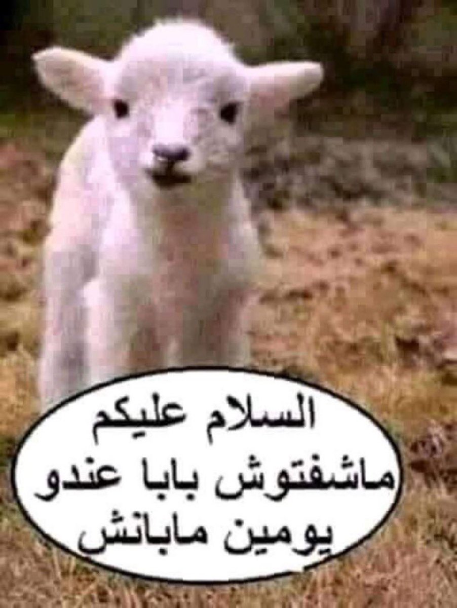 ioftenignoreit's tweet photo. صور اجهشتني بالبكاء https://t.co/oW6QJx6OBz