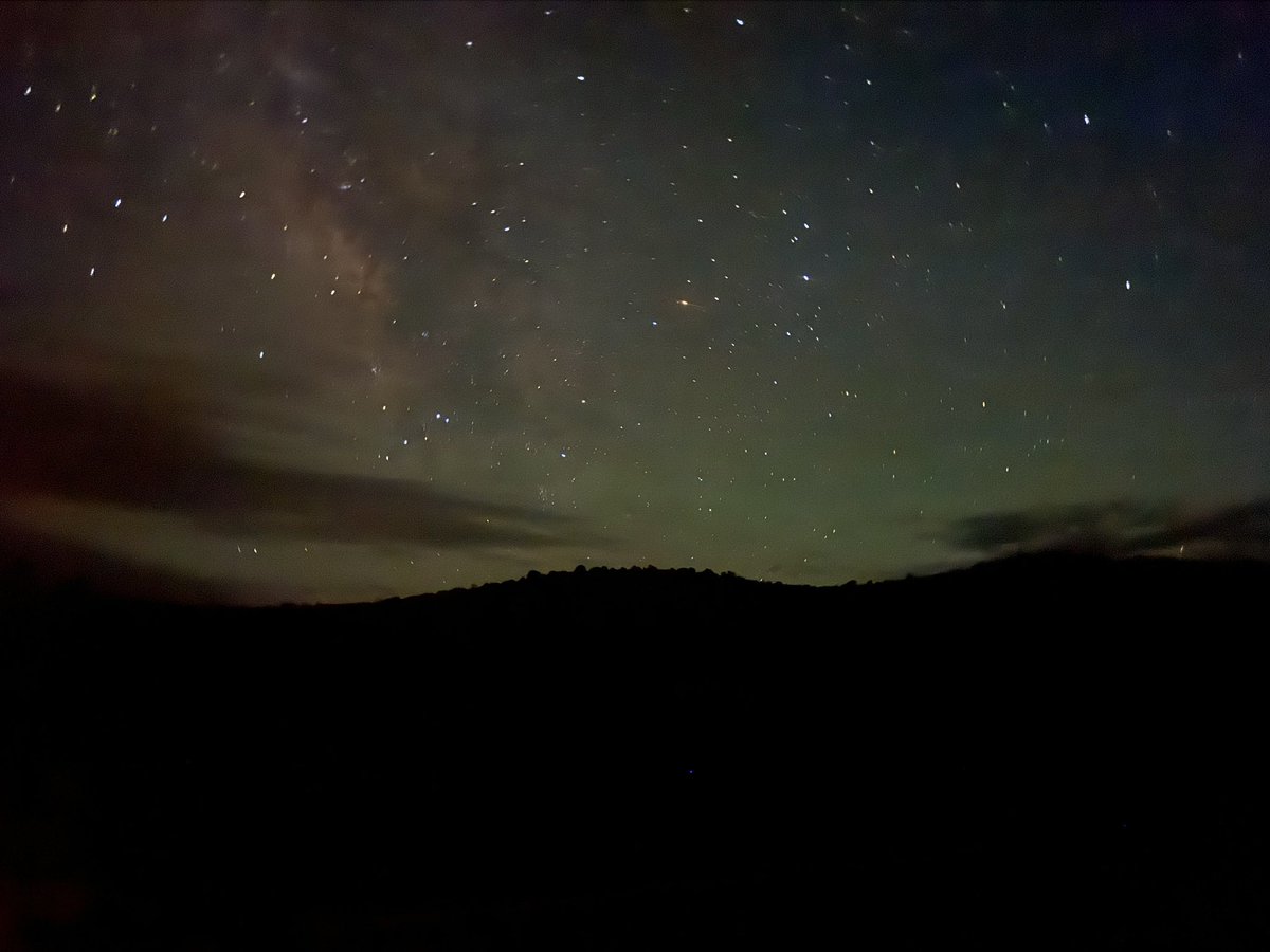 KingGetcha's tweet image. 