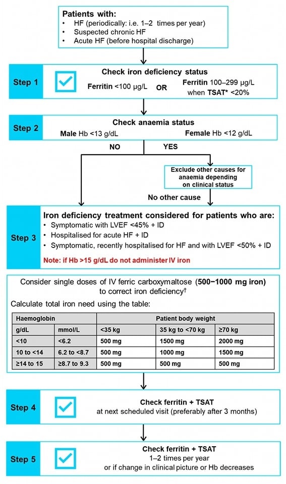 🔴Practical Guidance for Diagnosing and Treating Iron Deficiency in Patients with Heart Failure: Why, Who and How?⤵️ #Review #openaccess 

🔹Algorithm showing screening, diagnosing, treating and monitoring for iron deficiency in patients with HF

🔹mdpi.com/2077-0383/11/1…