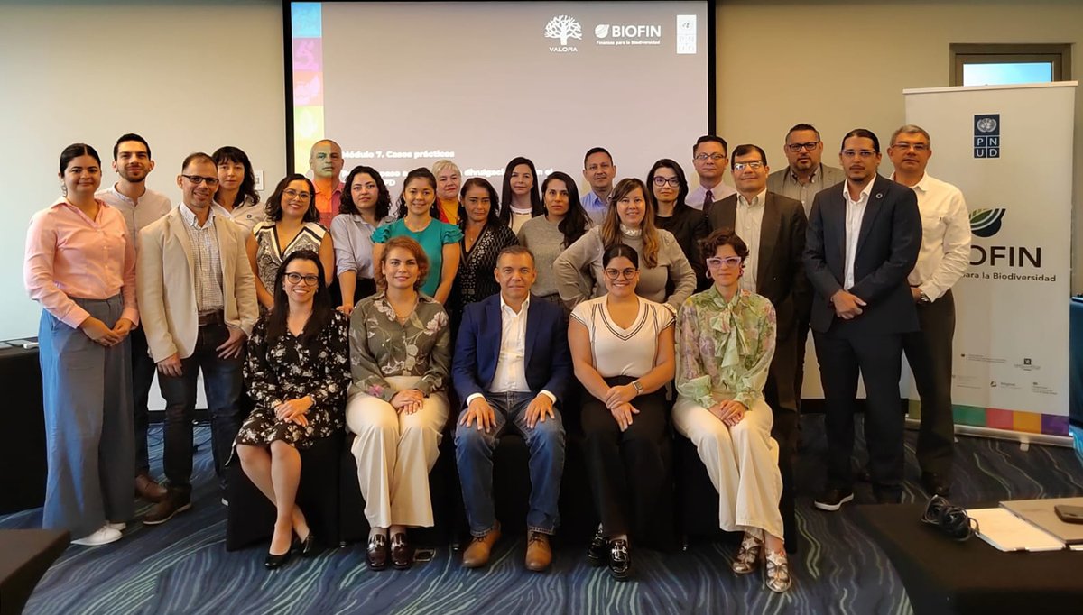 Costa Rica avanza en la formación de personas líderes en divulgaciones financieras relacionadas con la naturaleza (TNFD)

En el marco de la Iniciativa Finanzas para la Biodiversidad (BIOFIN) del PNUD, y con la facilitación de Valora, durante las últimas 8 semanas se llevó a cabo