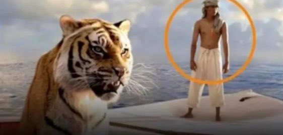 ┋HI
somehow, I’m still here!